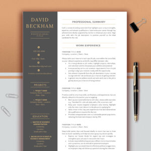 Executive Resume Template for Word, Professional CEO CV Template, C-Level Resume, Cover Letter & References, 1-3 Page Resume